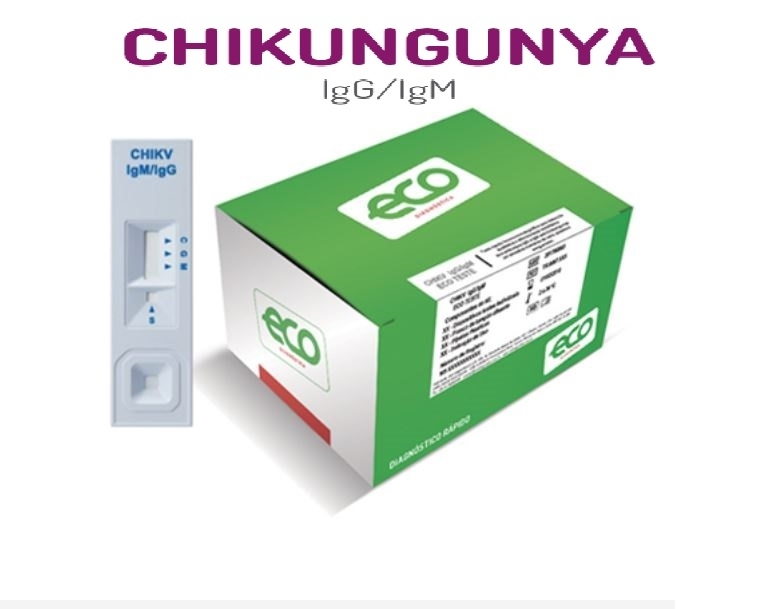 Eco_Chikungunya