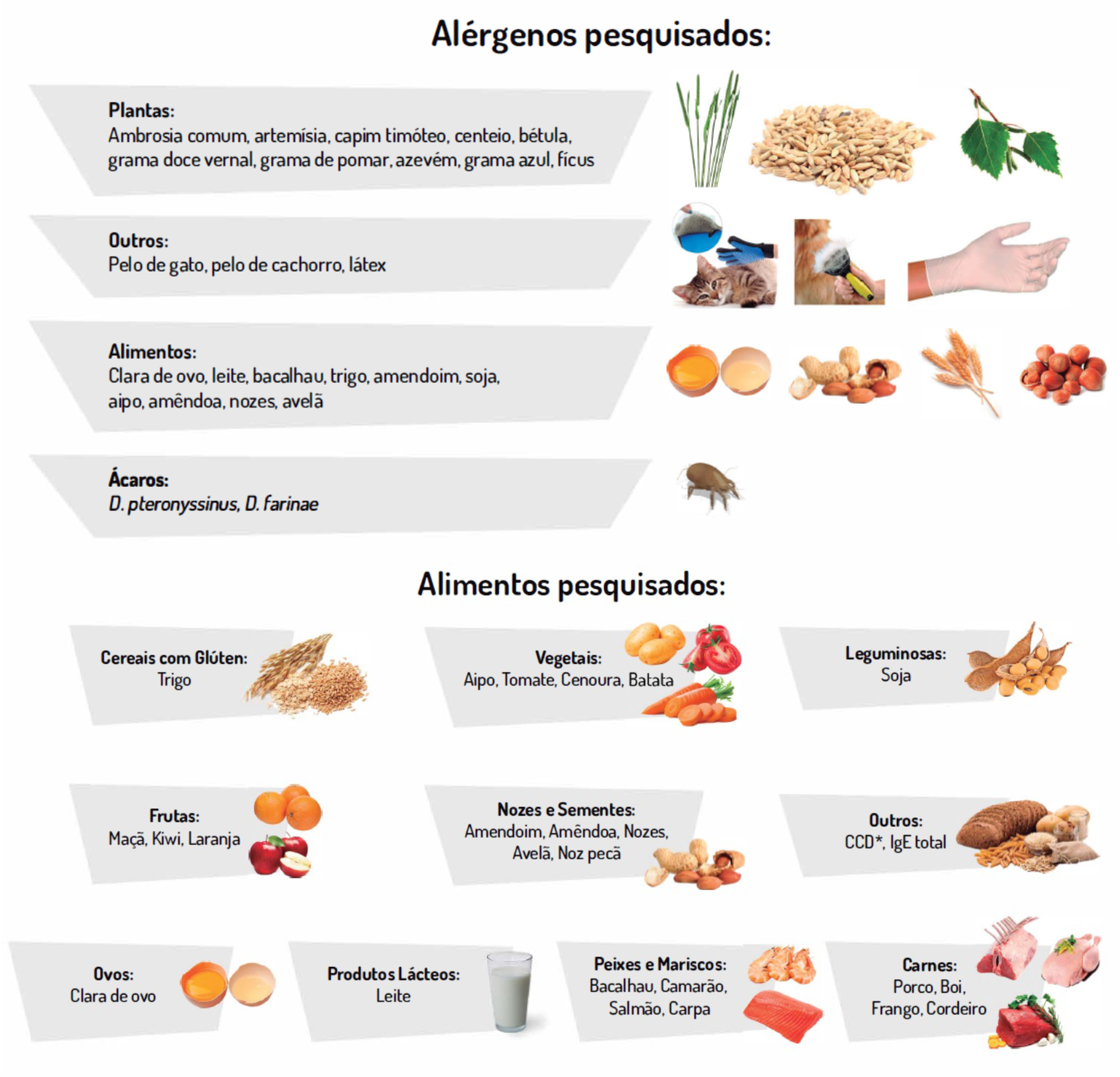 alérgenos e alimentos pesquisados