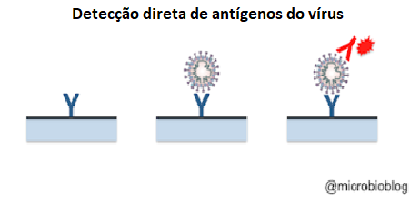 Detecção direta de antígenos do vírus