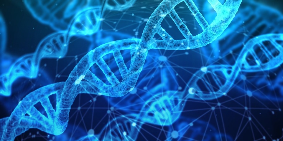 Quantificação de DNA: o que pode influenciar na qualidade da amostra
